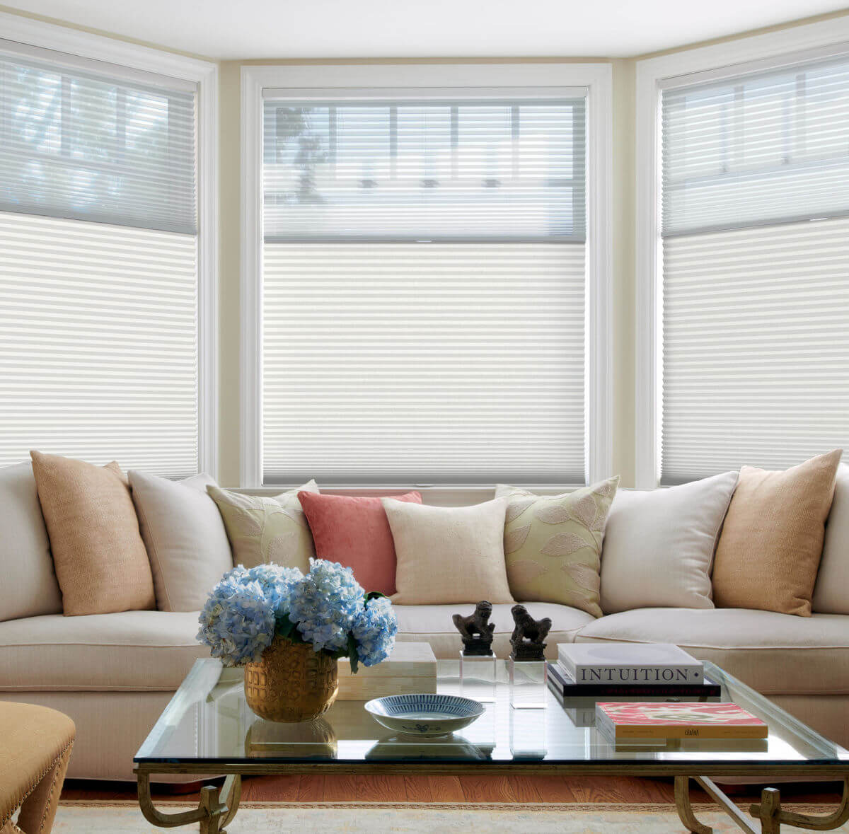 Evercurtain day & night cellular shades